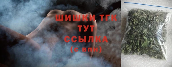 мдпв Горнозаводск