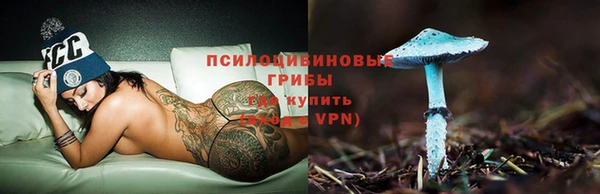 мдпв Горнозаводск