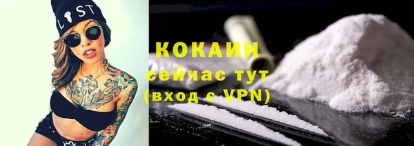 мдпв Горнозаводск