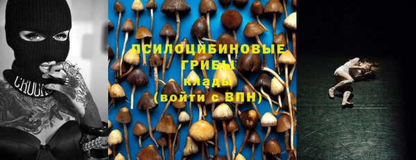 бошки Горняк