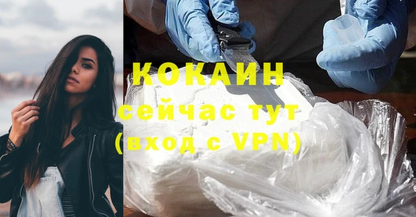 бошки Горняк
