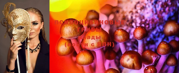 мдпв Горнозаводск